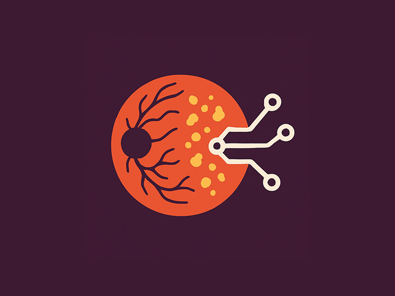 Segmentation of Retinal Fundus Images